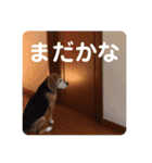 とご（個別スタンプ：6）