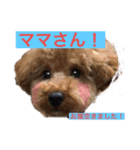 モカの、日常（個別スタンプ：1）