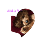 モカの、日常（個別スタンプ：5）