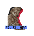 モカの、日常（個別スタンプ：6）