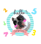 OMOCHI feelings（個別スタンプ：1）