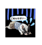 OMOCHI feelings（個別スタンプ：4）