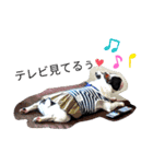 OMOCHI feelings（個別スタンプ：6）