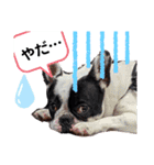 OMOCHI feelings（個別スタンプ：13）
