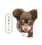 モナくんは可愛いんです（個別スタンプ：5）