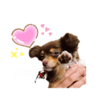 モナくんは可愛いんです（個別スタンプ：6）