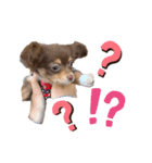 モナくんは可愛いんです（個別スタンプ：7）