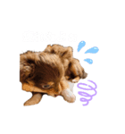 モナくんは可愛いんです（個別スタンプ：8）