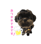 シーズ犬てんちゃんとがんちゃん（個別スタンプ：6）