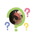 ハチワレ コタロー2（個別スタンプ：7）