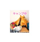 Birds camping（個別スタンプ：2）