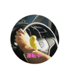 Birds camping（個別スタンプ：7）