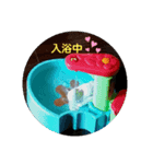 Birds camping（個別スタンプ：8）