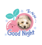 potemiの愛犬日常（個別スタンプ：2）