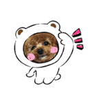 potemiの愛犬日常（個別スタンプ：9）