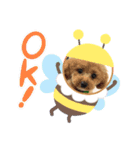 potemiの愛犬日常（個別スタンプ：10）