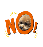 potemiの愛犬日常（個別スタンプ：12）