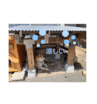 柴犬ころ(日常編)（個別スタンプ：21）