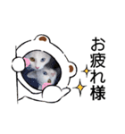 キュートな猫ちゃんスタンプ（個別スタンプ：8）