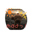 くうたのへやスタンプ（個別スタンプ：1）