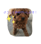 くうたのへやスタンプ（個別スタンプ：4）