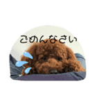 くうたのへやスタンプ（個別スタンプ：7）