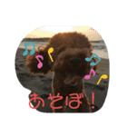 くうたのへやスタンプ（個別スタンプ：10）