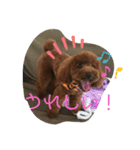 くうたのへやスタンプ（個別スタンプ：12）