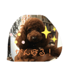 くうたのへやスタンプ（個別スタンプ：19）