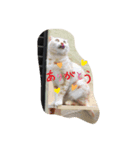 らむ 20200625（個別スタンプ：1）