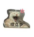 らむ 20200625（個別スタンプ：6）