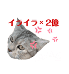 haiのきもち②（個別スタンプ：8）