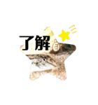 可愛いシマドジョウ6（個別スタンプ：2）