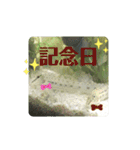 可愛いシマドジョウ6（個別スタンプ：17）