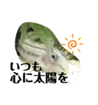可愛いシマドジョウ6（個別スタンプ：21）