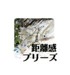 可愛いシマドジョウ6（個別スタンプ：25）