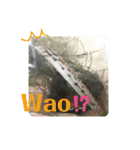 可愛いシマドジョウ6（個別スタンプ：33）