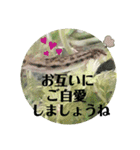 可愛いシマドジョウ6（個別スタンプ：34）
