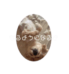 かおりん大好き♡（個別スタンプ：20）