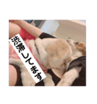 かおりん大好き♡（個別スタンプ：27）