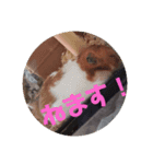 ゆまはる（個別スタンプ：7）