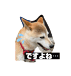 さくらだらけ（個別スタンプ：10）