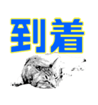 便利！猫たちの会話【船橋のショベル】（個別スタンプ：12）