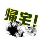 便利！猫たちの会話【船橋のショベル】（個別スタンプ：14）