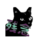 便利！猫たちの会話【船橋のショベル】（個別スタンプ：15）