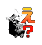 便利！猫たちの会話【船橋のショベル】（個別スタンプ：18）