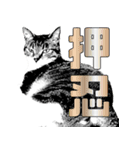 便利！猫たちの会話【船橋のショベル】（個別スタンプ：20）