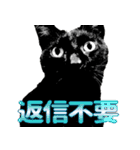便利！猫たちの会話【船橋のショベル】（個別スタンプ：21）