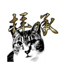 便利！猫たちの会話【船橋のショベル】（個別スタンプ：22）