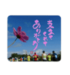 あの人に伝えたい「ありがとう」2（個別スタンプ：12）